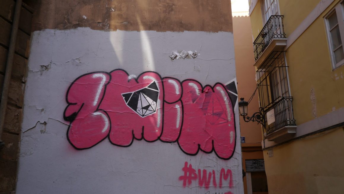  Rencontre avec JANK : dans les coulisses du street-art et du vandalisme