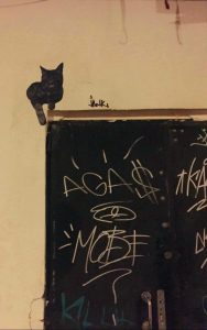jank street art gato